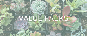 Value Packs